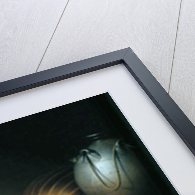 Still Life: An Allegory of the Vanities of Human Life, c.1640 by Harmen van Steenwyck