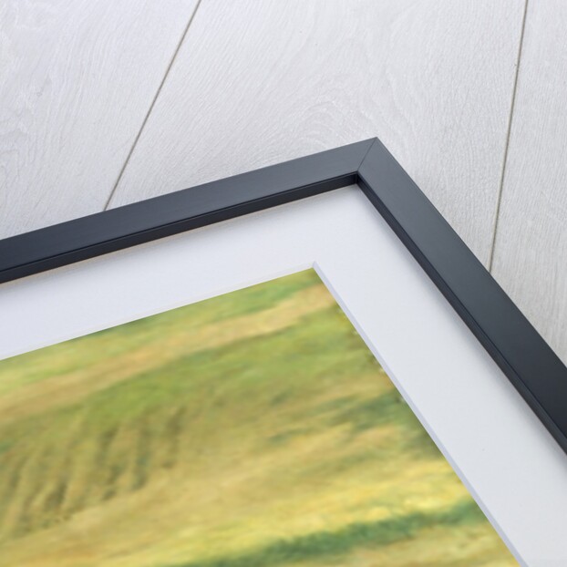 Eugene Manet by Edgar Degas