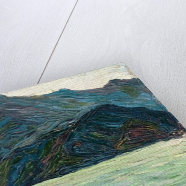 Kochelsee over the bay, 1902 by Wassily Kandinsky