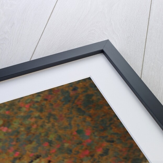 The Sick Child, c.1892 by Edouard Vuillard