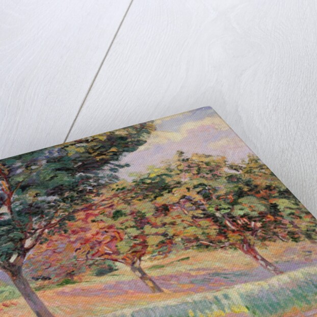 Orchard at St. Cheron, 1893 by Jean Baptiste Armand Guillaumin