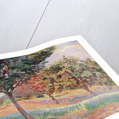 Orchard at St. Cheron, 1893 by Jean Baptiste Armand Guillaumin