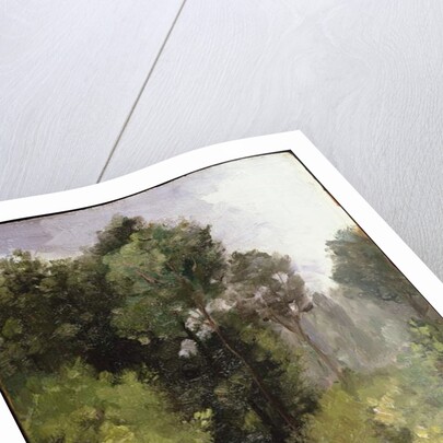 Under the Trees, 1864 by Camille Pissarro