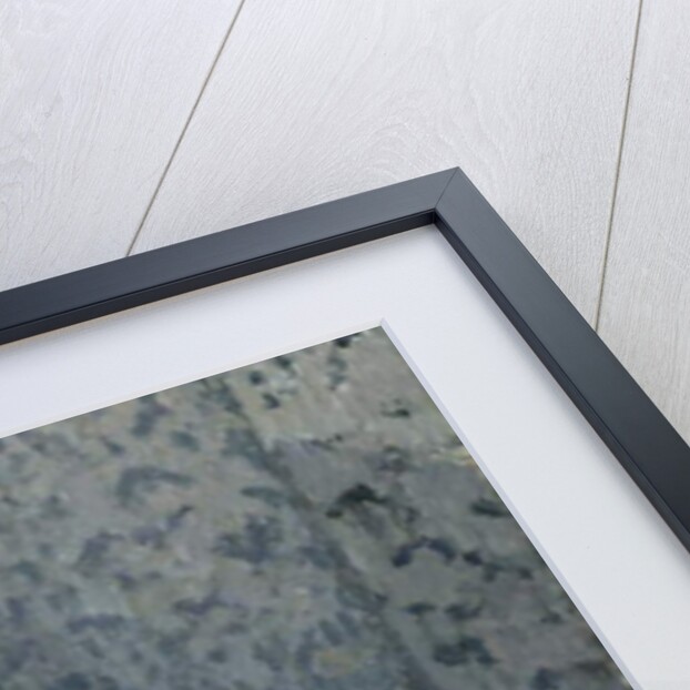 Still Life with Peppers, 1899 by Camille Pissarro