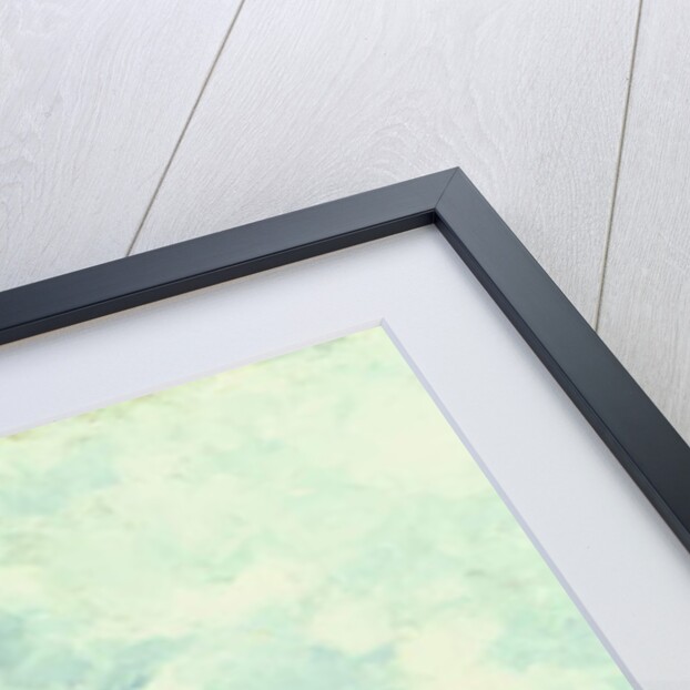 Rue de l'Ermitage, Pontoise, 1874 by Camille Pissarro