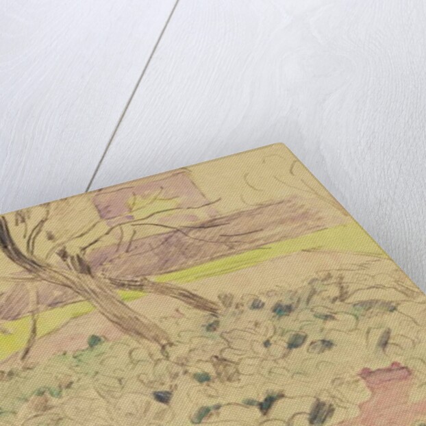 The Cabbage Field, c.1880 by Camille Pissarro