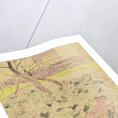 The Cabbage Field, c.1880 by Camille Pissarro