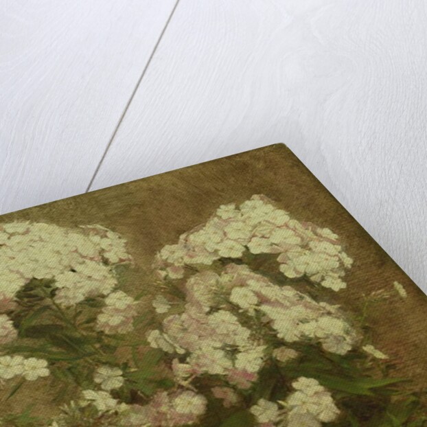 Phlox, 1870 by Ignace Henri Jean Fantin-Latour