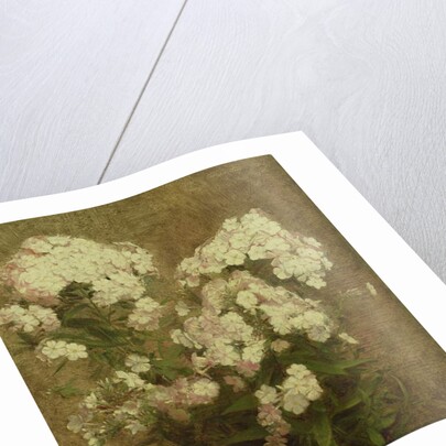 Phlox, 1870 by Ignace Henri Jean Fantin-Latour