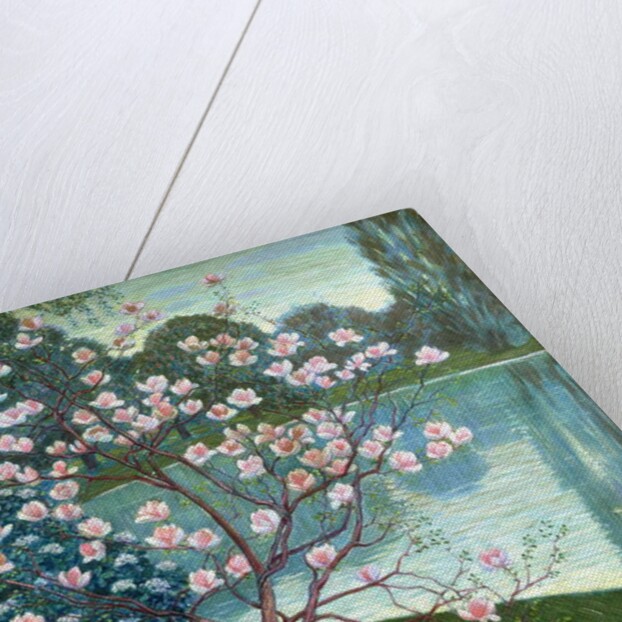 Magnolia by Wilhelm List