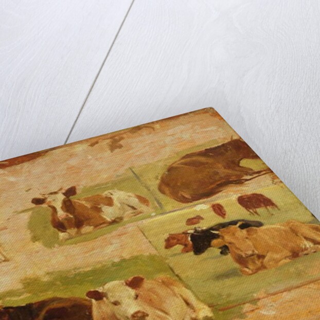 Study of Cows, c.1860 by Eugene Louis Boudin
