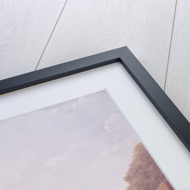 General Jean Andoche Junot Duc d'Abrantes, at the Battle of Nazareth, 8th April 1799 by Nicolas Antoine Taunay