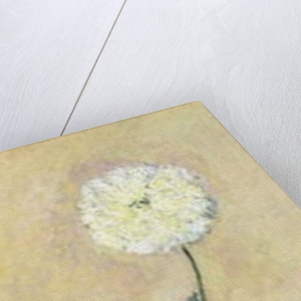 White Poppy, 1883 by Claude Monet