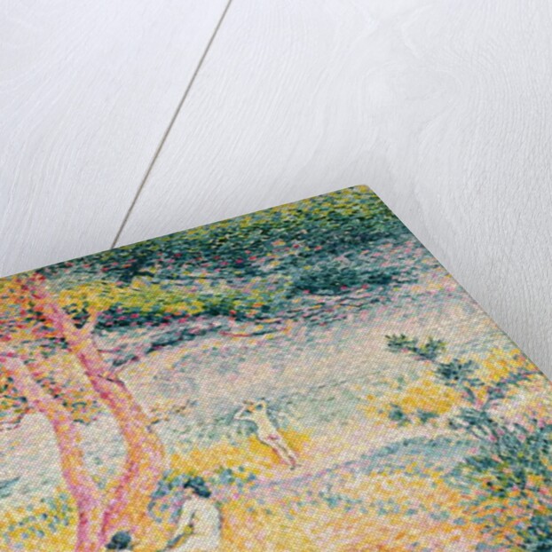 The Beach at St. Clair, 1901 by Henri-Edmond Cross