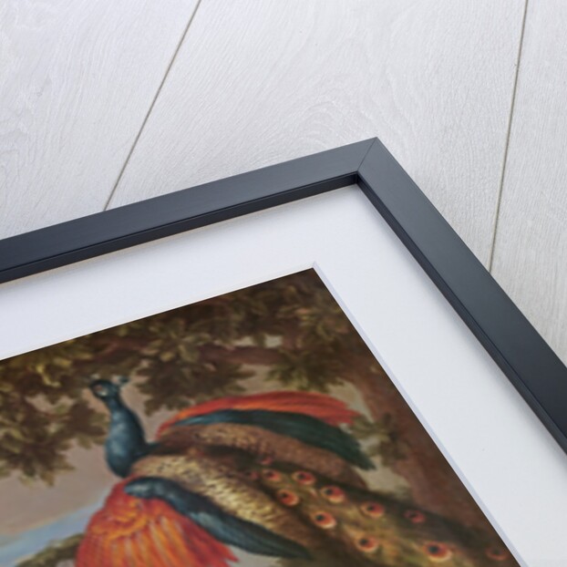 Fruit and Exotic Birds in a Landscape by Jean-Baptiste Monnoyer