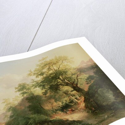 Forest near Vienna, 1852 by Joseph Hoger