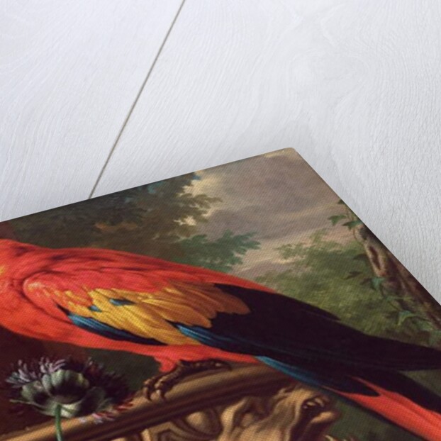 Scarlet Macaw in a Landscape by Jakob Bogdani or Bogdany