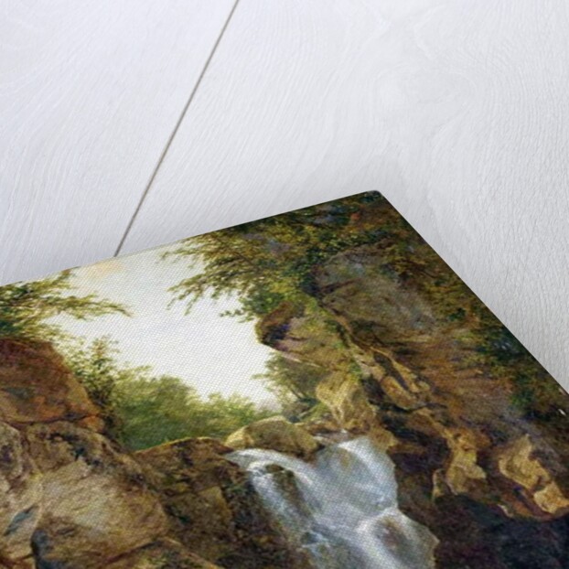 Bish Bash Falls, 1855-60 by John Frederick Kensett