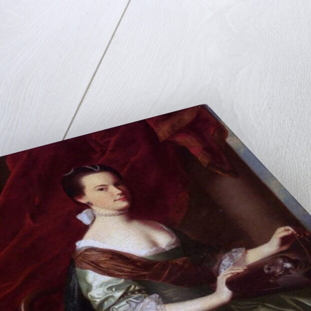 Mrs Theodore Atkinson Jr., 1765 by John Singleton Copley