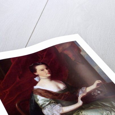 Mrs Theodore Atkinson Jr., 1765 by John Singleton Copley