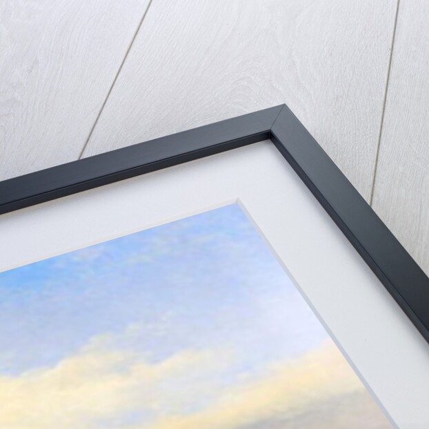 The Thames and St. Paul's Cathedral from Somerset House by William Parrott