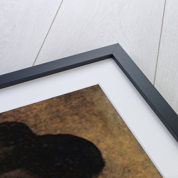 Self portrait, 1853 by Eastman Johnson