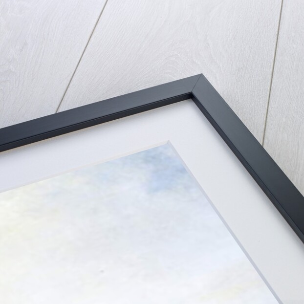 The Cantiniere, 1852 by Domenico Induno