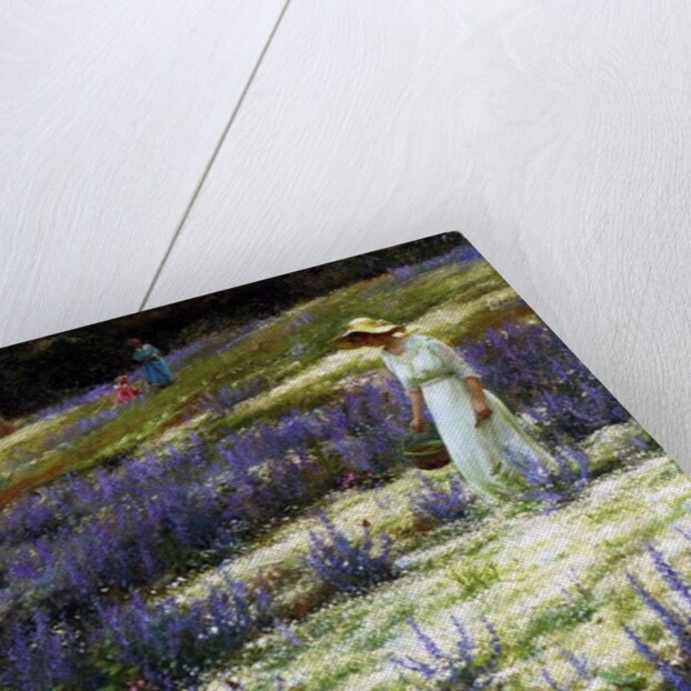 On a Hill, 1914 by Charles Courtney Curran