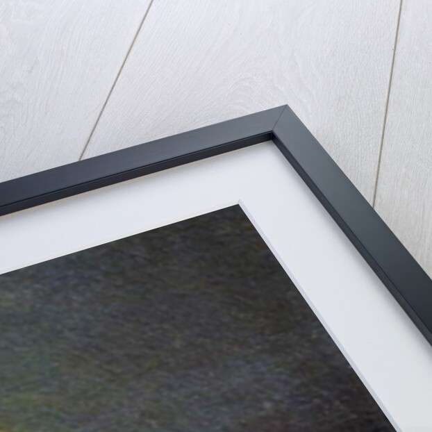 Fireworks Across the Potomac, 1902 by James Henry Moser