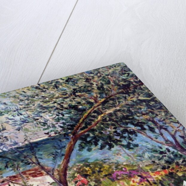 The artist's garden in Brittany, 1905 by Maxime Emile Louis Maufra