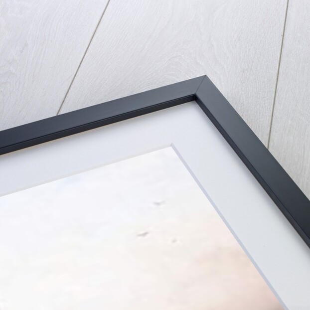 Threshing Wheat, New Mexico, c.1883 by Thomas Moran