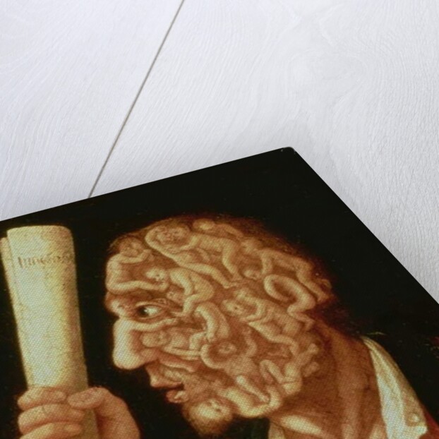 Portrait of Adam by Giuseppe Arcimboldo