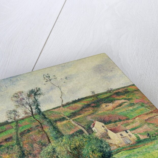 The Cabbage Slopes, Pontoise, 1882 by Camille Pissarro