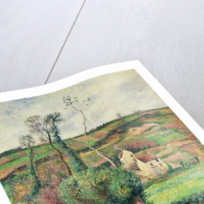 The Cabbage Slopes, Pontoise, 1882 by Camille Pissarro