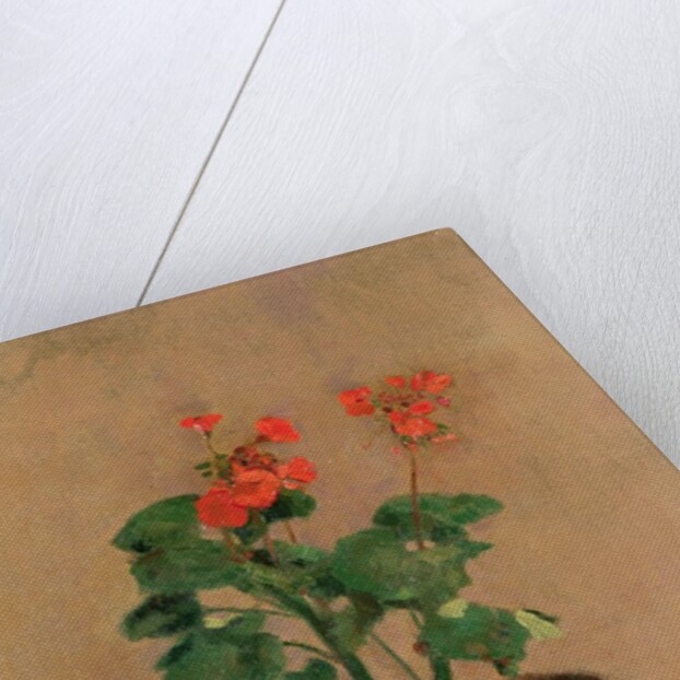 Geraniums in a Pot, c.1905 by Odilon Redon