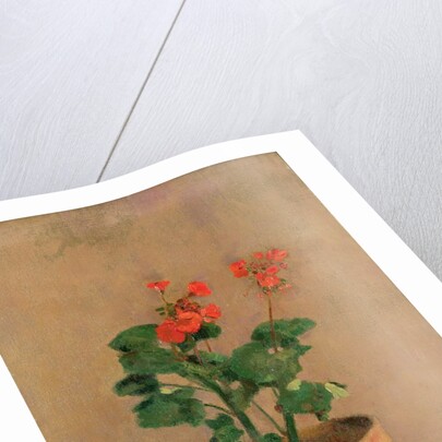 Geraniums in a Pot, c.1905 by Odilon Redon