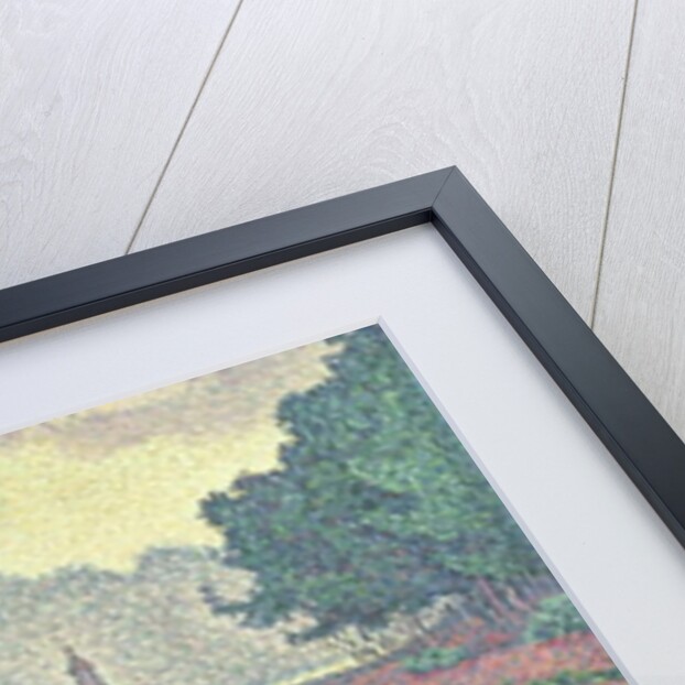 Woman on the Terrace, 1898 by Paul Signac