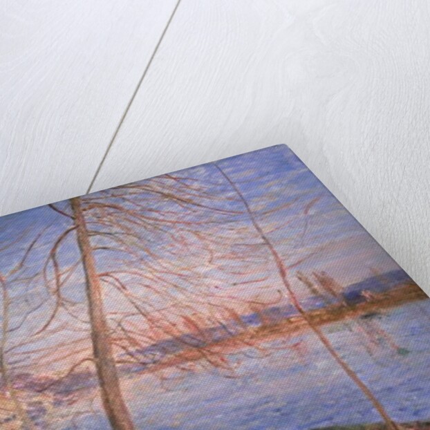 Winter Morning, 1878 by Alfred Sisley