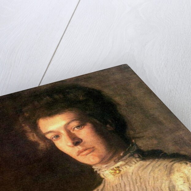 Portrait of Mrs. Kern Dodge, 1904 by Thomas Cowperthwait Eakins