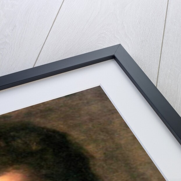 Portrait of Mrs. Kern Dodge, 1904 by Thomas Cowperthwait Eakins