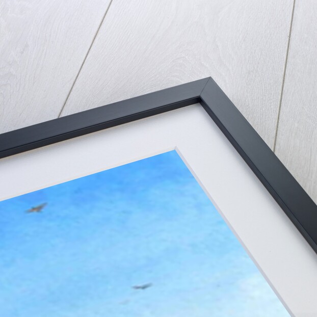 Muezzin Calling, 1878 by Jean Leon Gerome