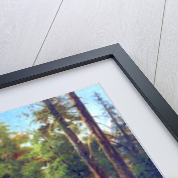Return from Glacier Point, 1874 by William Hahn