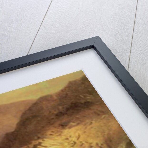 Headwaters of the Rio Grande, 1872-73 by Hamilton Hamilton