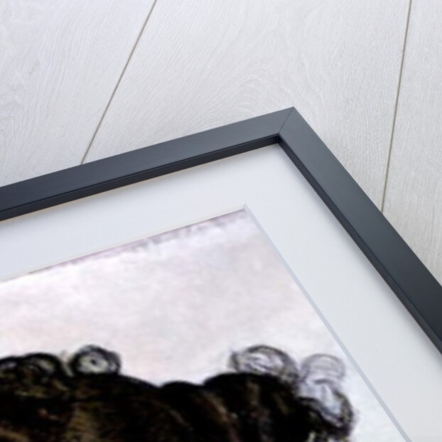 The Artist's Wife by Ferdinand Hodler