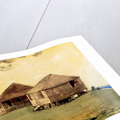 Upcoming Tornado, Bahamas, 1885 by Winslow Homer