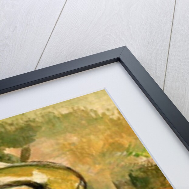 Girl with a Straw Hat, 1896 by Paul Cezanne