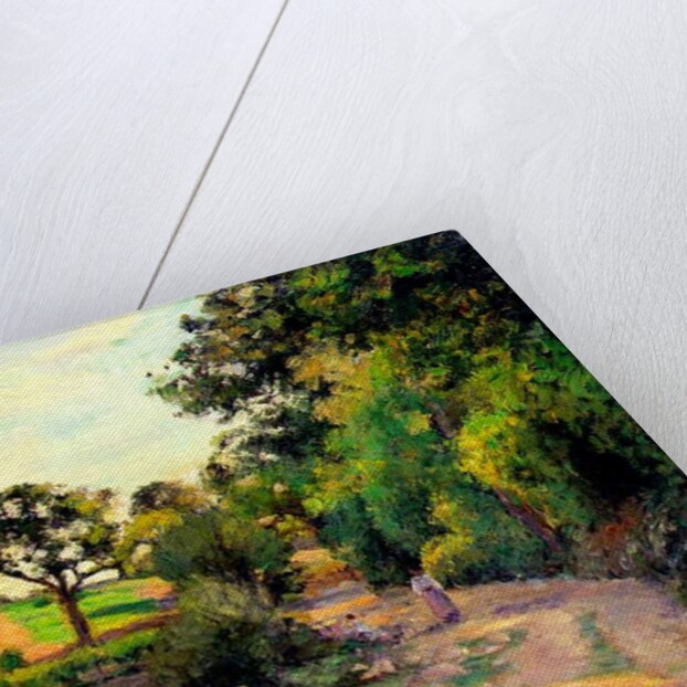 A Pond at Montfoucault, 1874 by Camille Pissarro