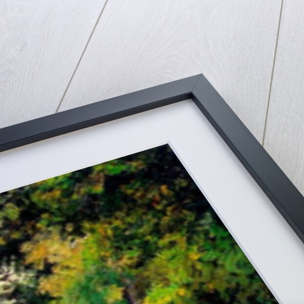 A Pond at Montfoucault, 1874 by Camille Pissarro