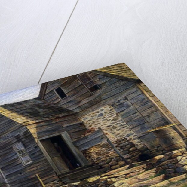 A Long Island Homestead by William M Davis