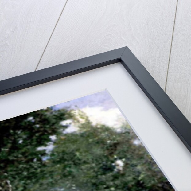 Ladies at the Bois de Boulogne, Paris by Francesco Miralles Galaup